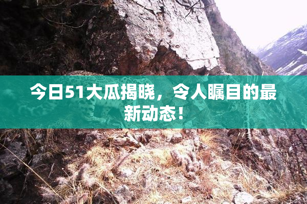 今日51大瓜揭晓，令人瞩目的最新动态！