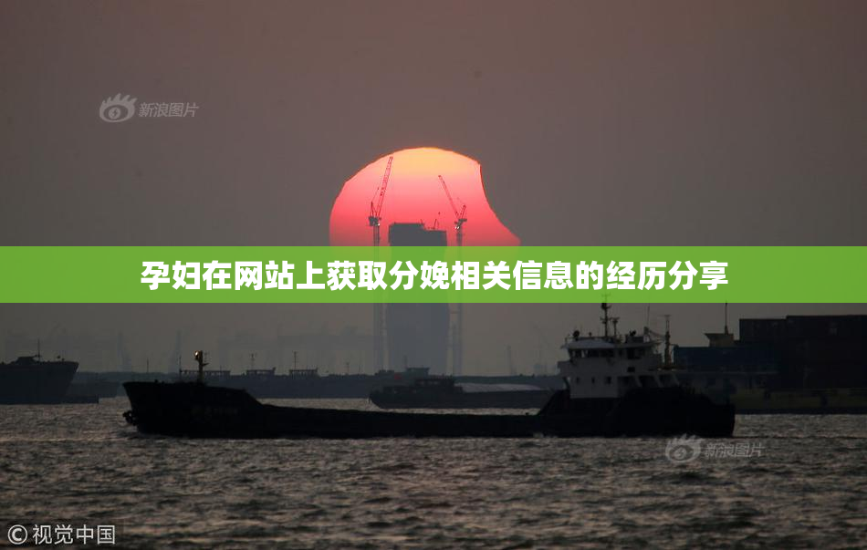 孕妇在网站上获取分娩相关信息的经历分享