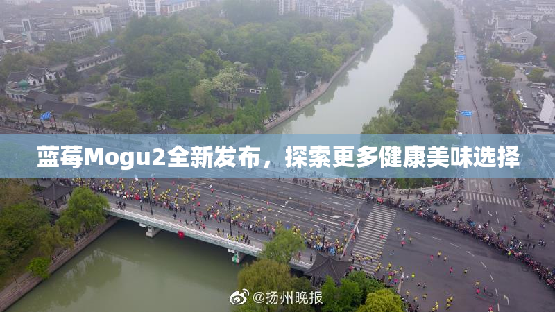 蓝莓Mogu2全新发布，探索更多健康美味选择