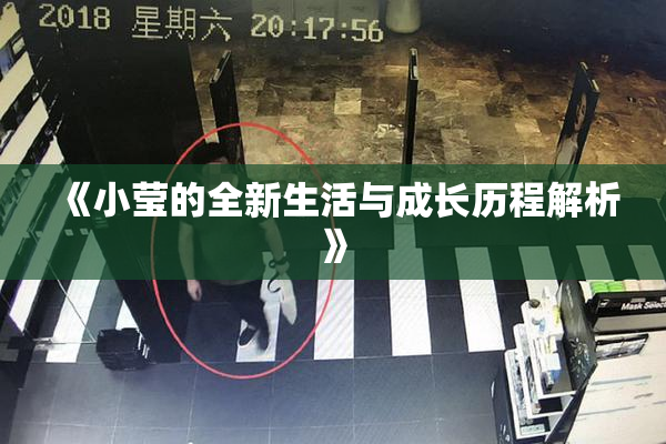《小莹的全新生活与成长历程解析》
