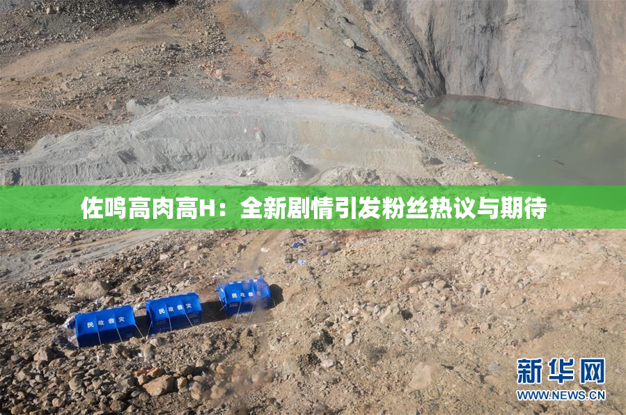 佐鸣高肉高H：全新剧情引发粉丝热议与期待