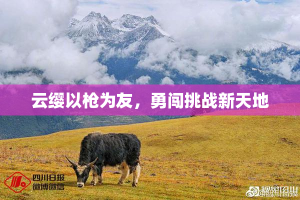云缨以枪为友，勇闯挑战新天地