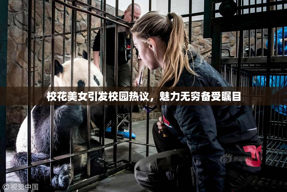 校花美女引发校园热议，魅力无穷备受瞩目