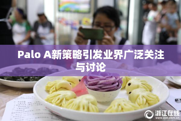 Palo A新策略引发业界广泛关注与讨论