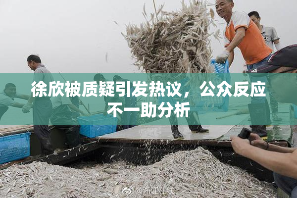 徐欣被质疑引发热议，公众反应不一助分析