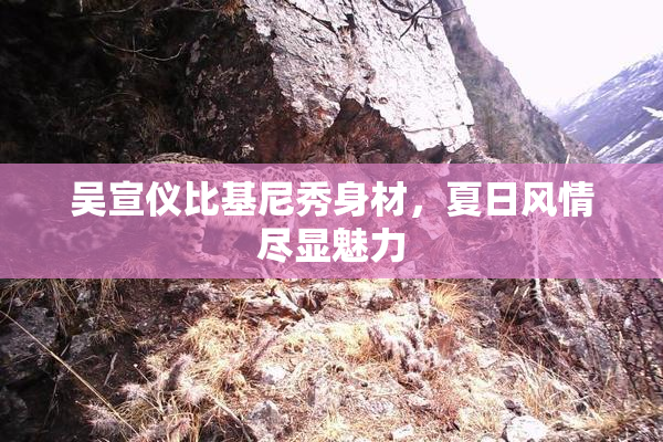 吴宣仪比基尼秀身材，夏日风情尽显魅力