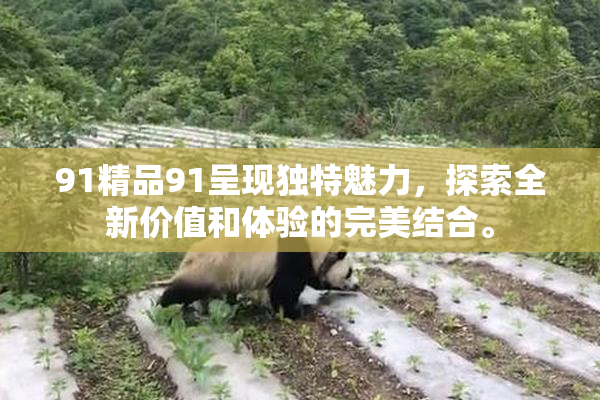 91精品91呈现独特魅力，探索全新价值和体验的完美结合。