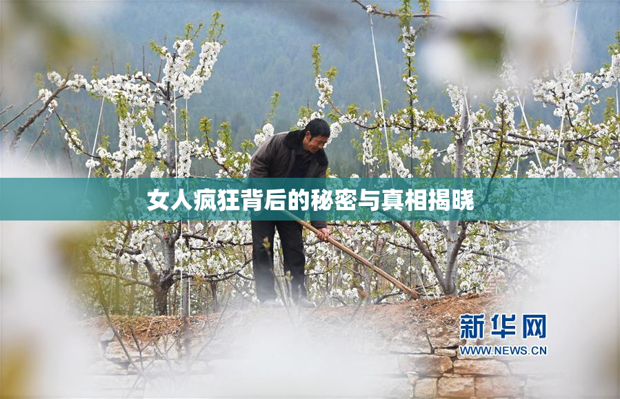 女人疯狂背后的秘密与真相揭晓