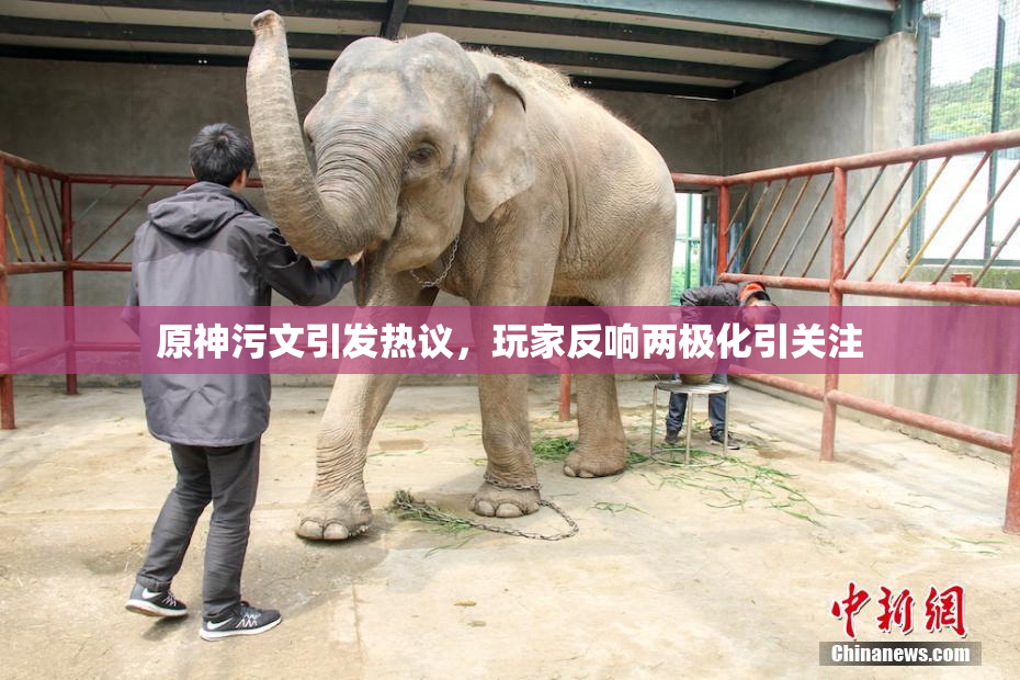 原神污文引发热议，玩家反响两极化引关注