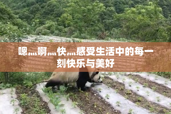 嗯灬啊灬快灬感受生活中的每一刻快乐与美好