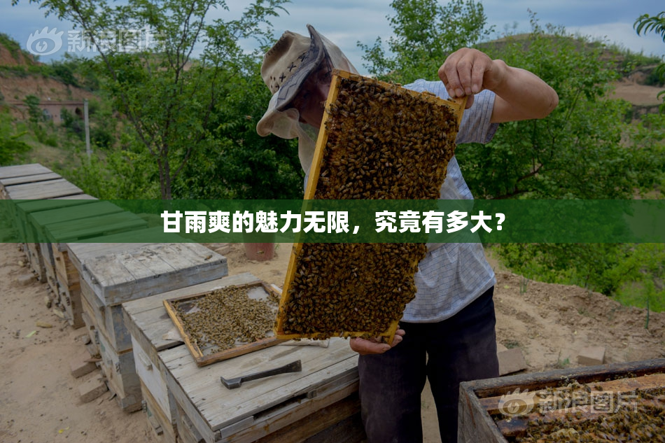 甘雨爽的魅力无限，究竟有多大？