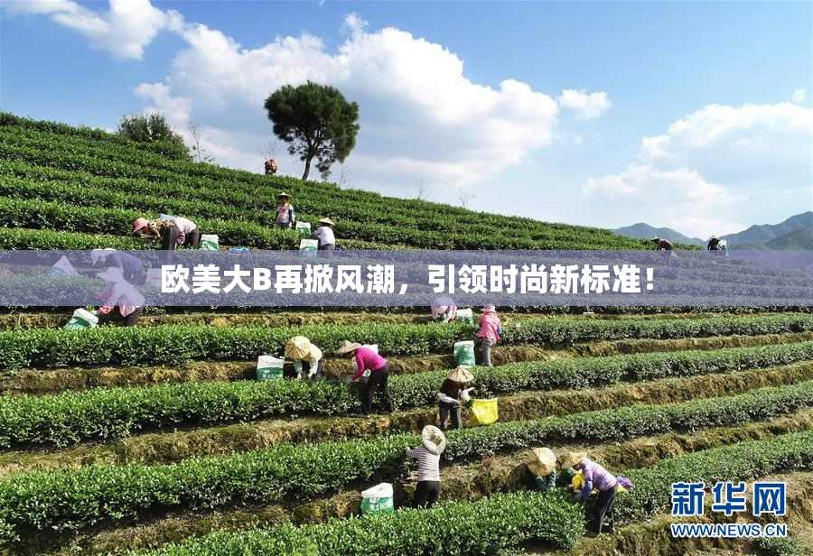 欧美大B再掀风潮，引领时尚新标准！