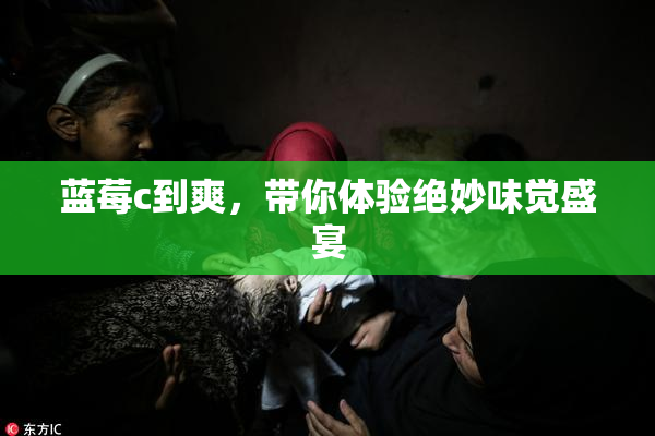 蓝莓c到爽，带你体验绝妙味觉盛宴