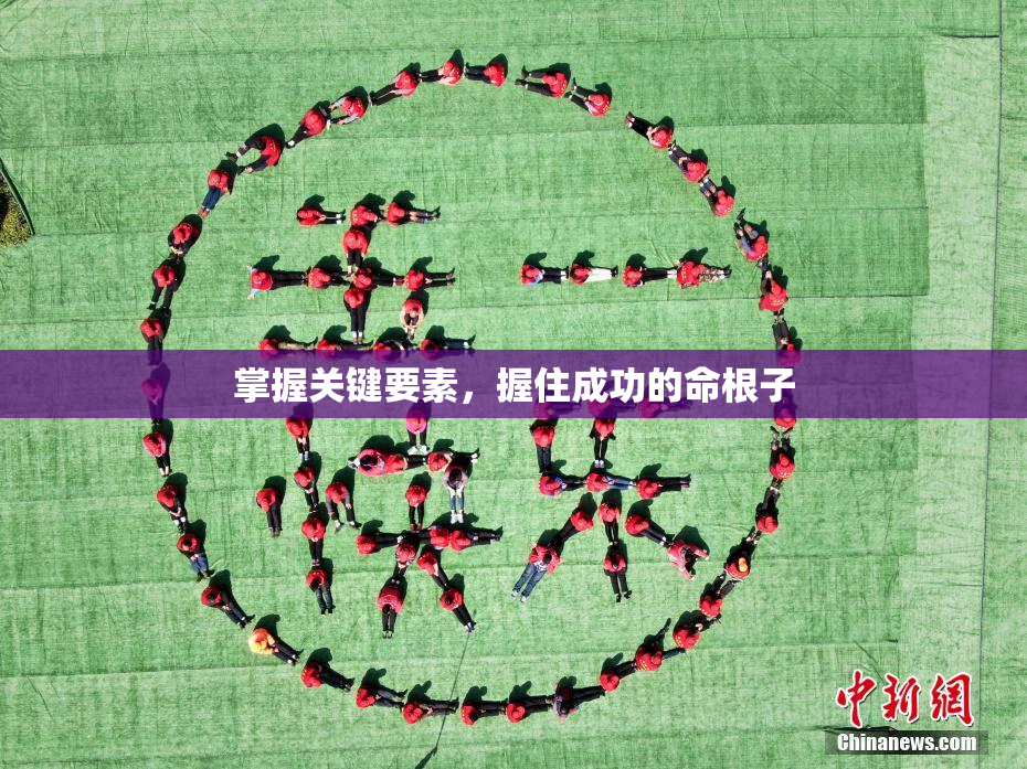 掌握关键要素，握住成功的命根子