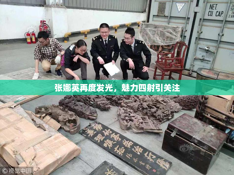 张娜英再度发光，魅力四射引关注