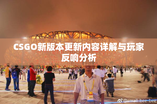 CSGO新版本更新内容详解与玩家反响分析