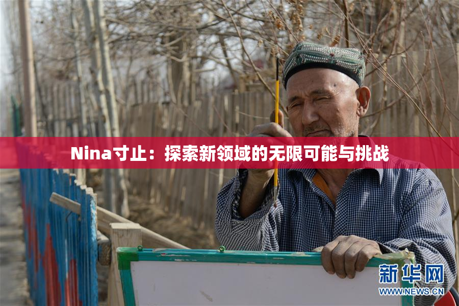 Nina寸止：探索新领域的无限可能与挑战