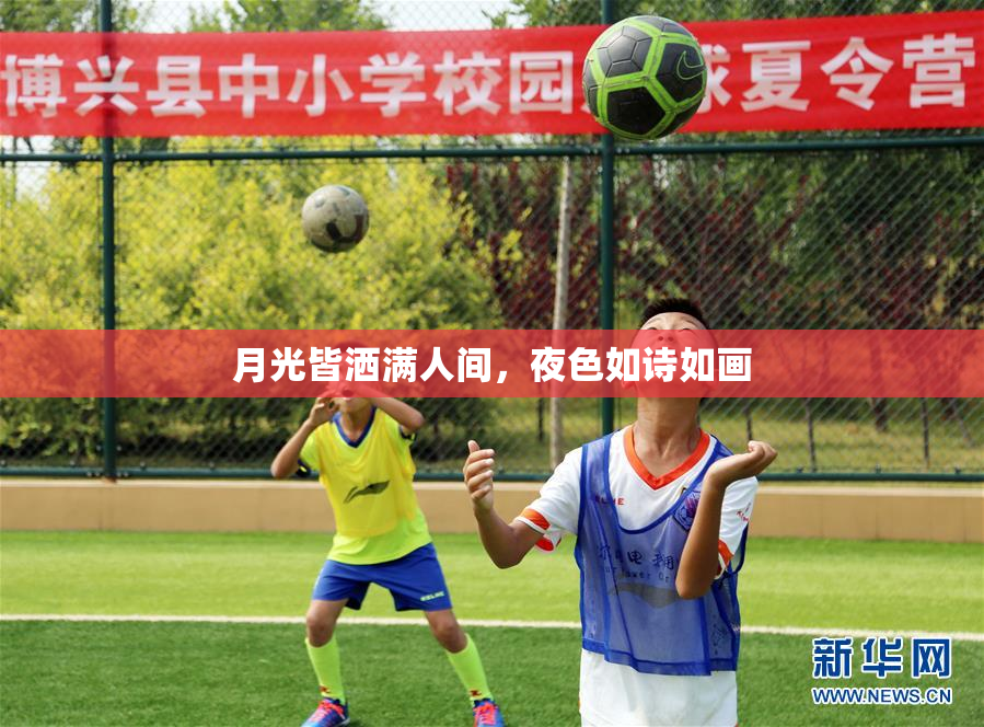 月光皆洒满人间，夜色如诗如画