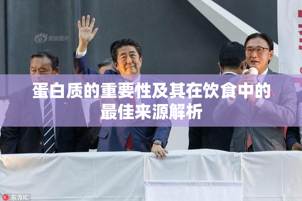 蛋白质的重要性及其在饮食中的最佳来源解析
