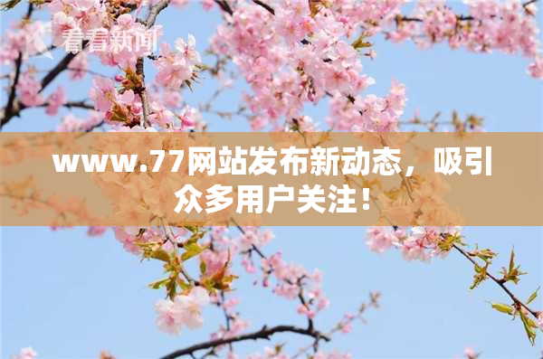 www.77网站发布新动态，吸引众多用户关注！