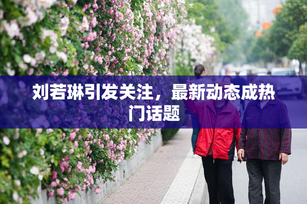 刘若琳引发关注，最新动态成热门话题
