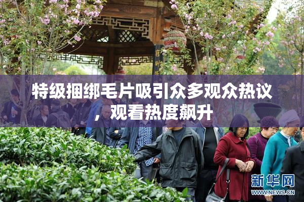特级捆绑毛片吸引众多观众热议，观看热度飙升