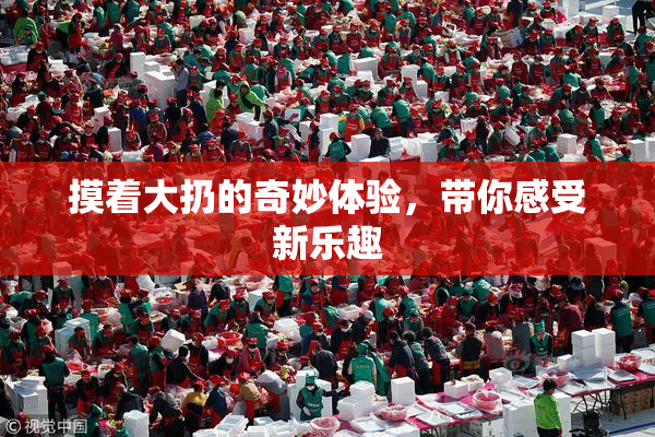 摸着大扔的奇妙体验，带你感受新乐趣