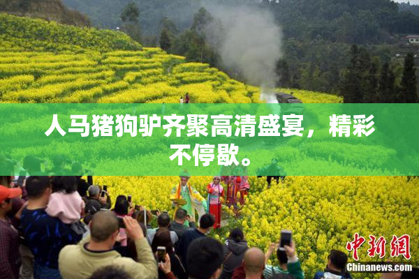 人马猪狗驴齐聚高清盛宴，精彩不停歇。