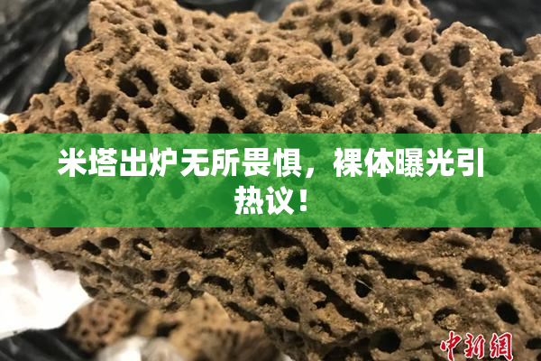 米塔出炉无所畏惧，裸体曝光引热议！