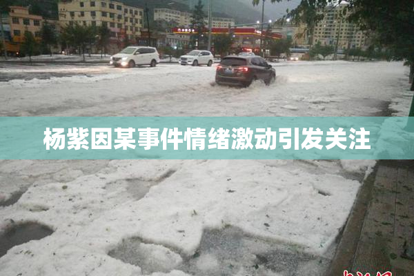 杨紫因某事件情绪激动引发关注