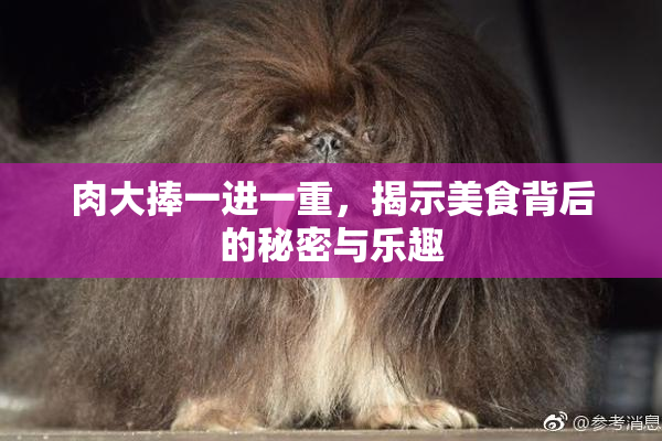 肉大捧一进一重，揭示美食背后的秘密与乐趣