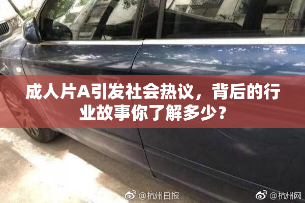 成人片A引发社会热议，背后的行业故事你了解多少？