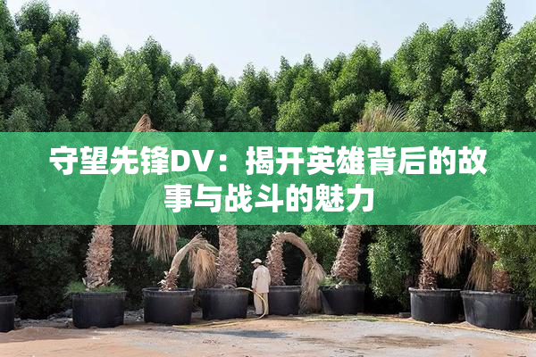 守望先锋DV：揭开英雄背后的故事与战斗的魅力