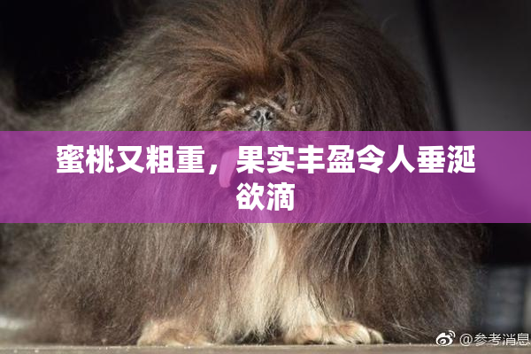 蜜桃又粗重，果实丰盈令人垂涎欲滴
