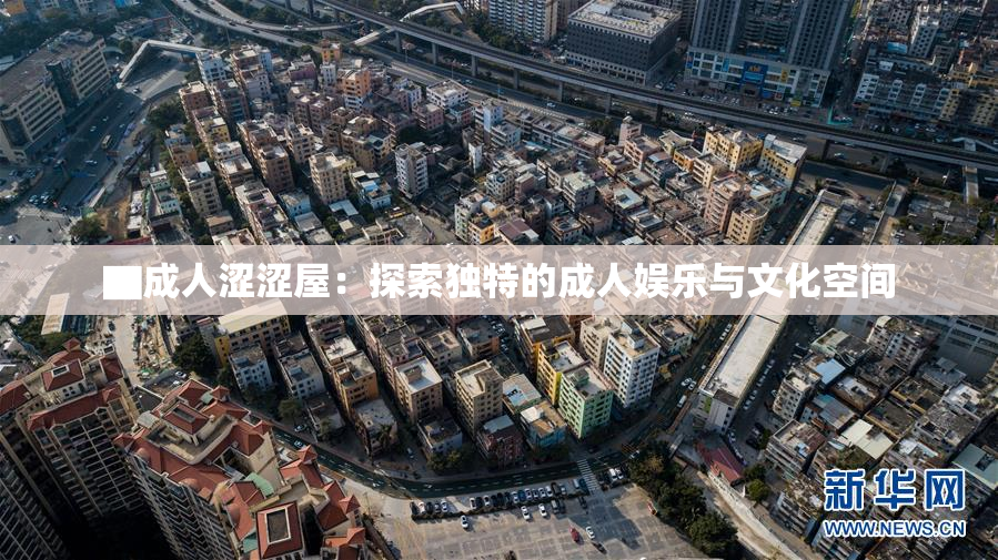 ▇成人涩涩屋：探索独特的成人娱乐与文化空间