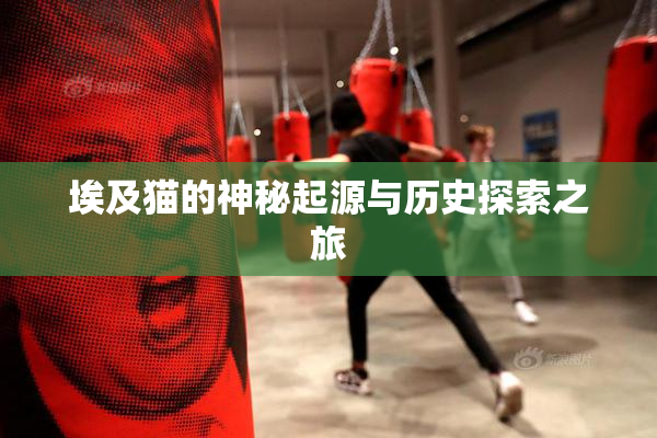 埃及猫的神秘起源与历史探索之旅
