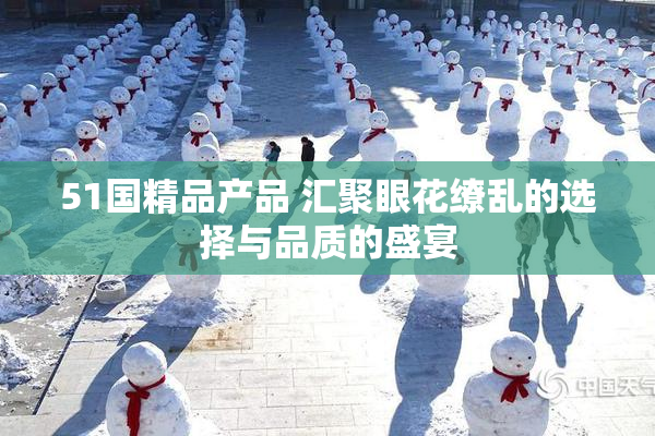 51国精品产品 汇聚眼花缭乱的选择与品质的盛宴