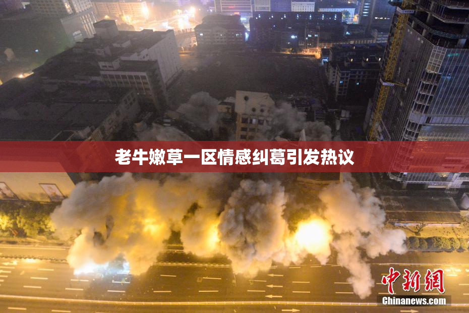 老牛嫩草一区情感纠葛引发热议