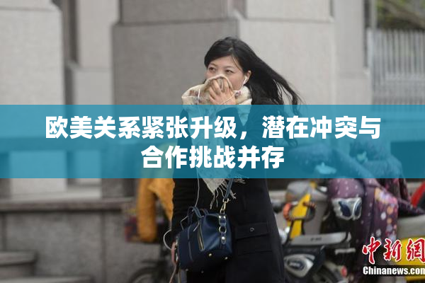 欧美关系紧张升级，潜在冲突与合作挑战并存