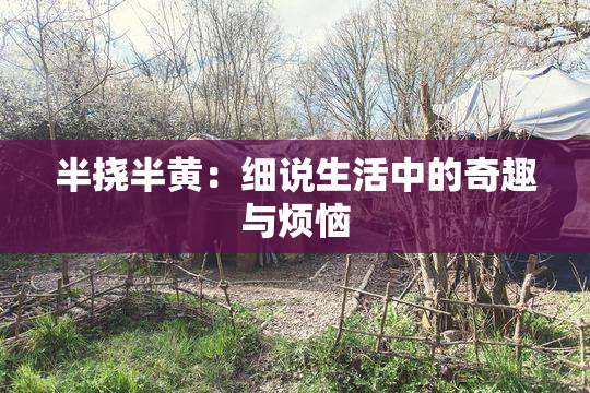 半挠半黄：细说生活中的奇趣与烦恼