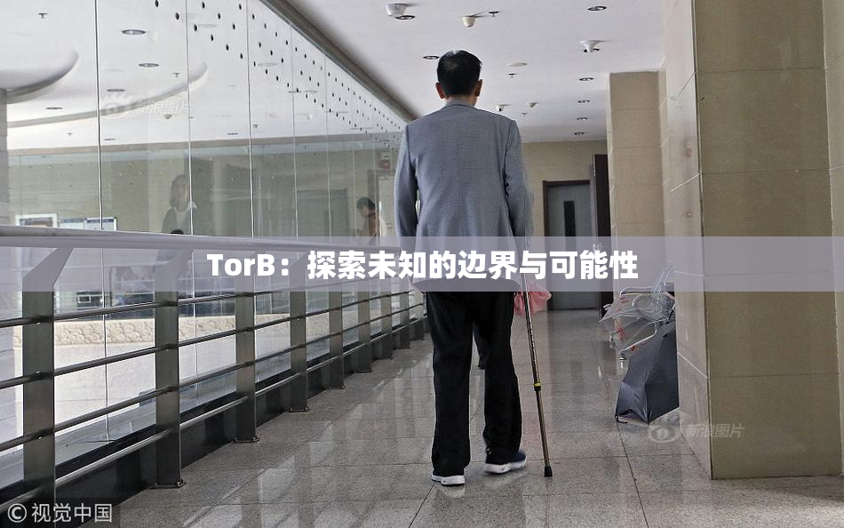 TorB：探索未知的边界与可能性