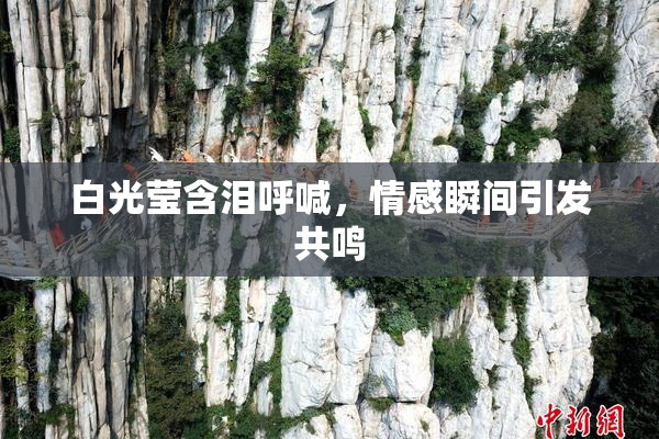 白光莹含泪呼喊，情感瞬间引发共鸣