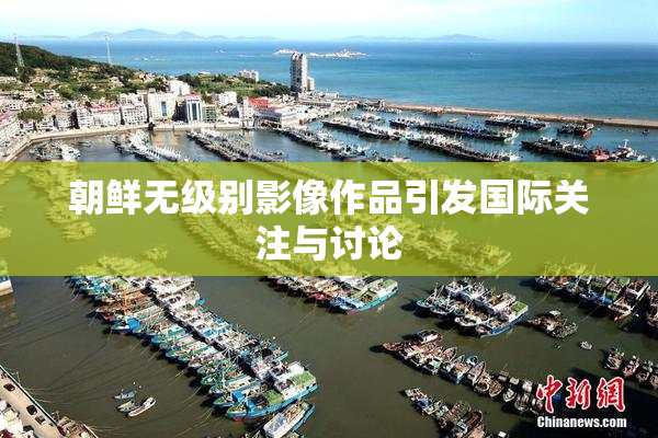 朝鲜无级别影像作品引发国际关注与讨论
