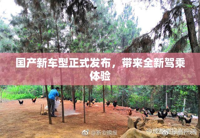 国产新车型正式发布，带来全新驾乘体验