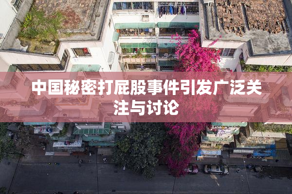 中国秘密打屁股事件引发广泛关注与讨论
