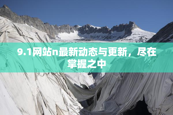 9.1网站n最新动态与更新，尽在掌握之中