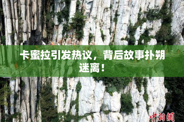 卡蜜拉引发热议，背后故事扑朔迷离！