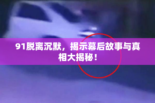 91脱离沉默，揭示幕后故事与真相大揭秘！