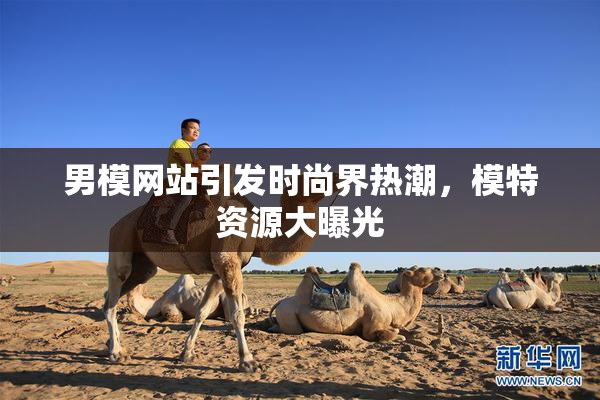 男模网站引发时尚界热潮，模特资源大曝光
