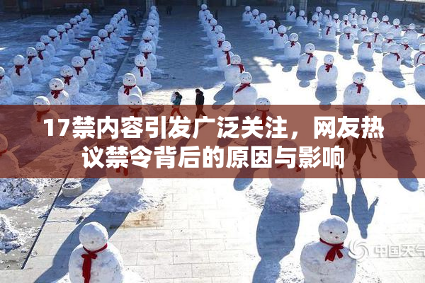 17禁内容引发广泛关注，网友热议禁令背后的原因与影响